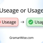 useage or usage