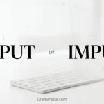 imput or input