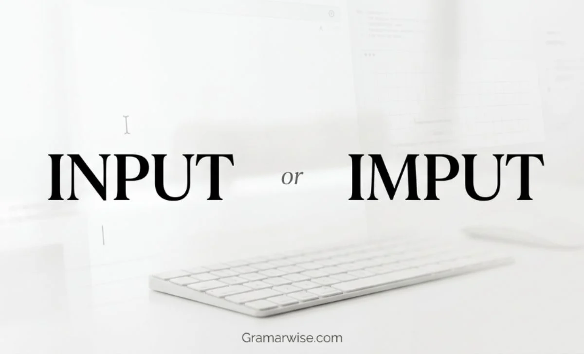imput or input
