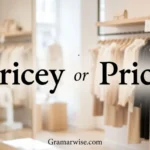 pricey or pricy